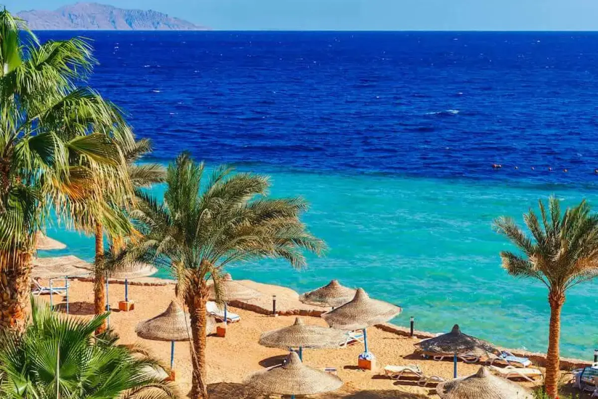 Discover the best tours sharm el sheikh for an unforgettable experience
