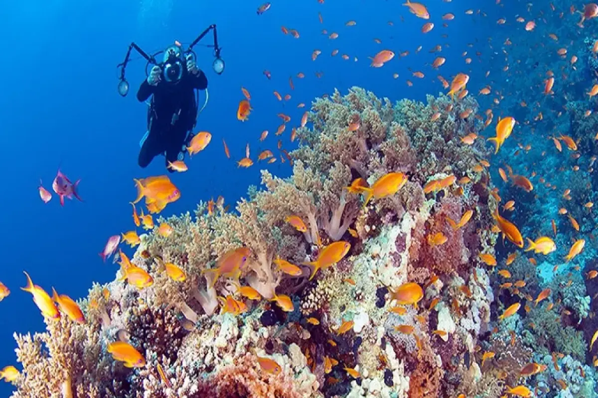 excursions in egypt sharm el sheikh – Explore Egypt with VIPSharm