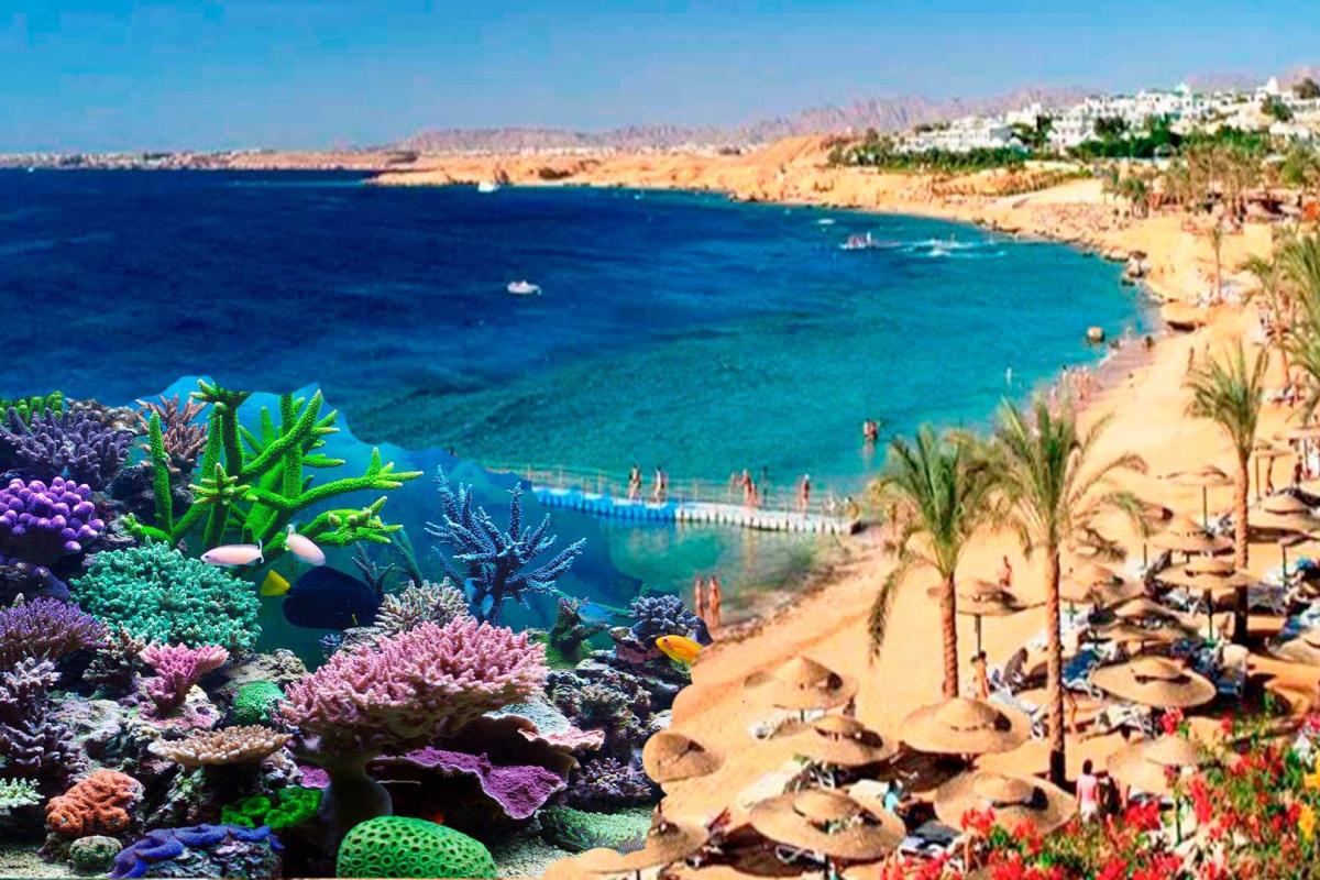 Learn About trips in sharm el sheikh