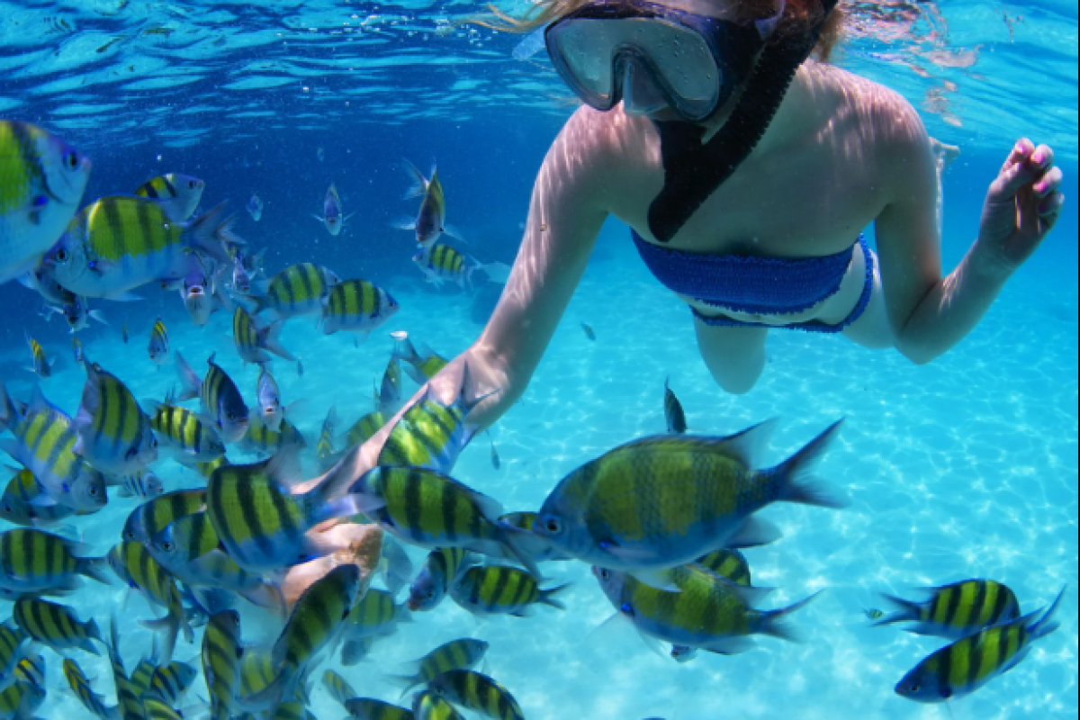 Unforgettable Adventures Await with VIP Sharm El Sheikh Tours