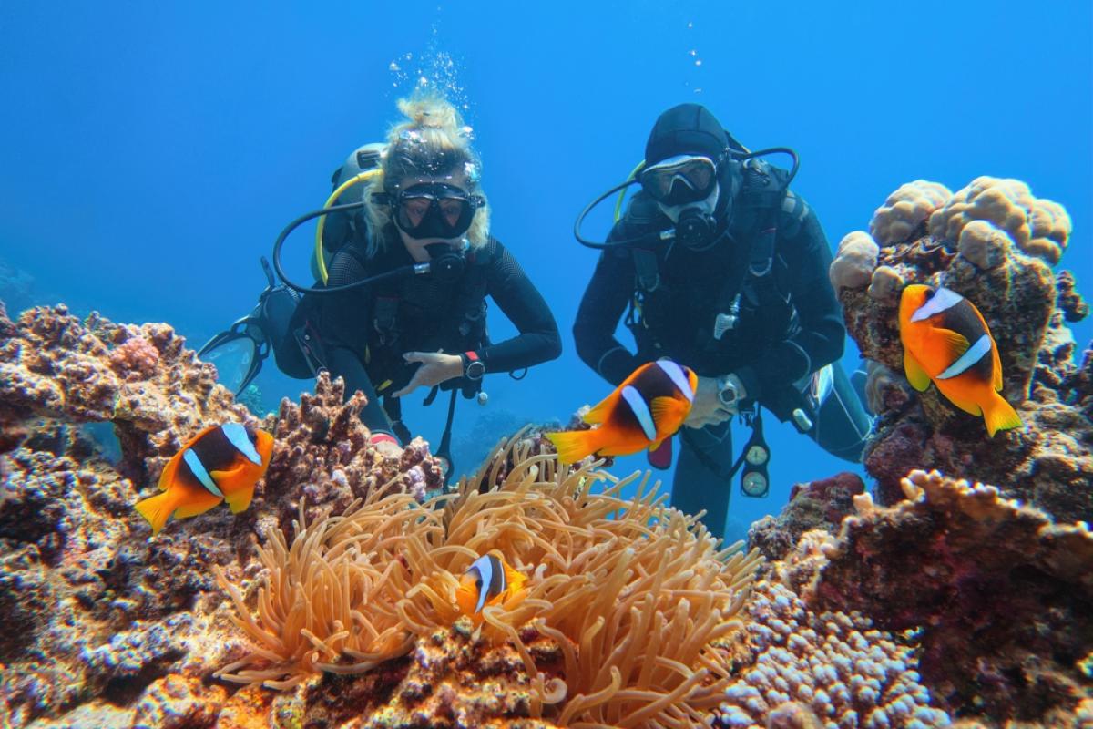 Explore the Best sharm el sheikh activities with VIP Sharm