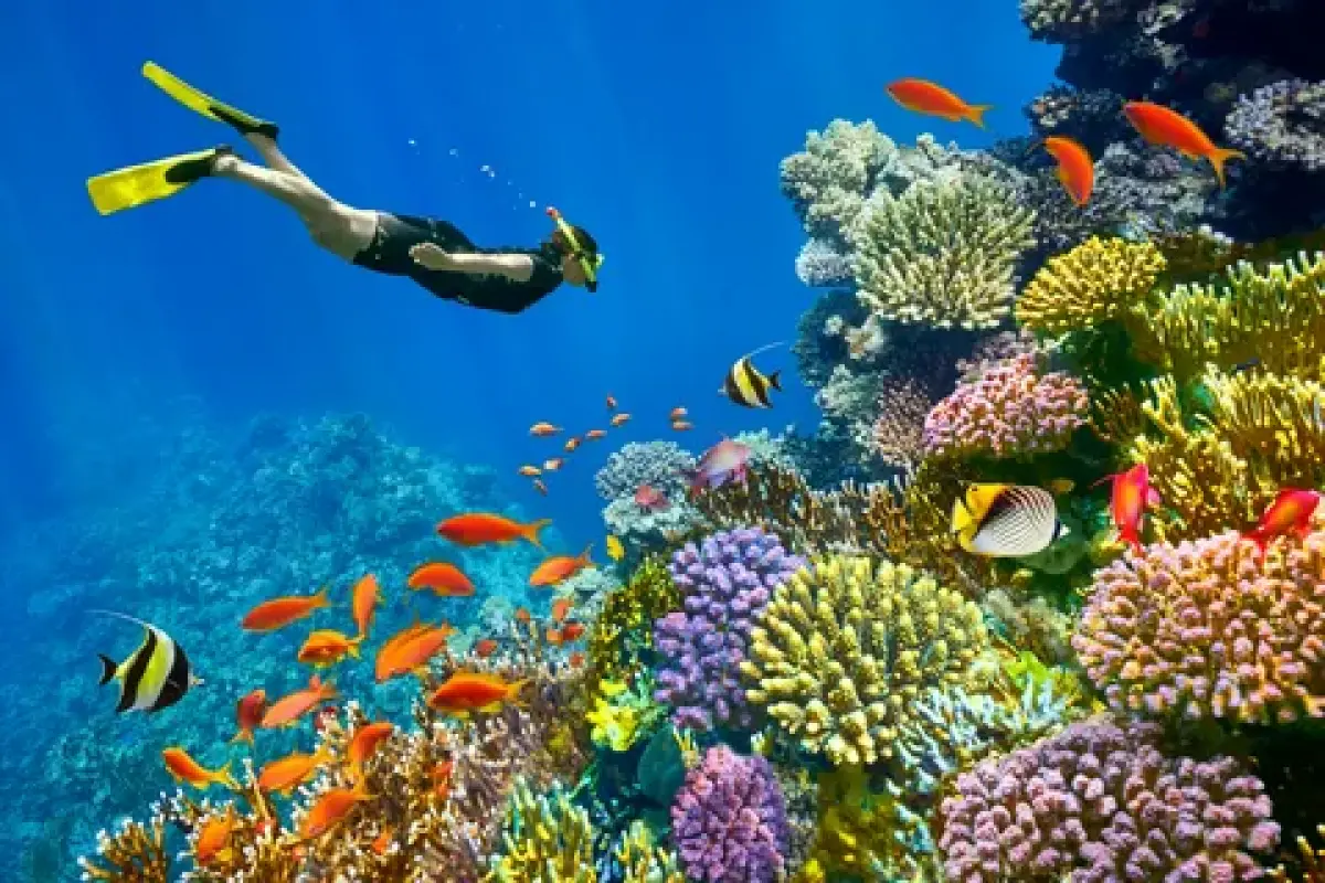 sharm el sheikh tour  – Explore the Best of Egypt’s Red Sea Adventures with VIPSharm