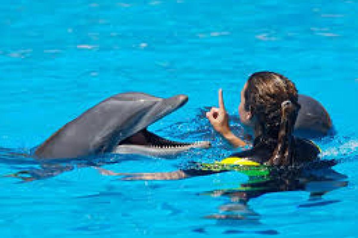 Top things to do in sharm el sheikh for an incredible holiday