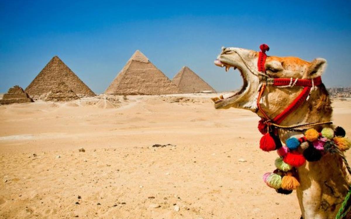 Cairo by plane one day trip from sharm el-Sheikh