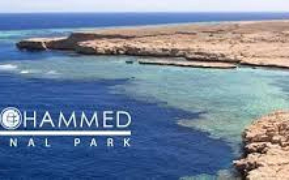 Ras Mohamed by Bus from sharm El Sheikh