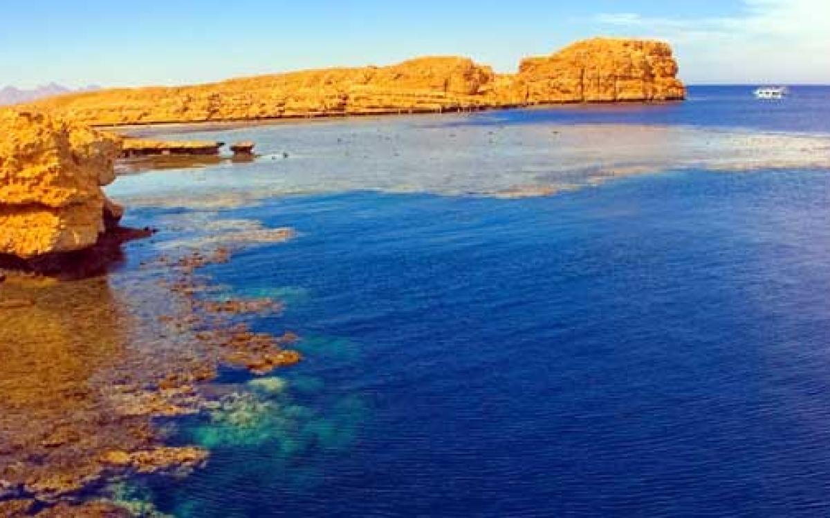 Ras Mohamed by Bus from sharm El Sheikh